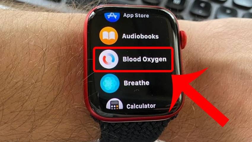 apple watch đo đường huyết