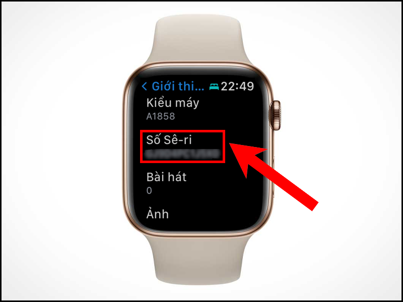 cách kiểm tra đồng hồ apple watch chính hãng